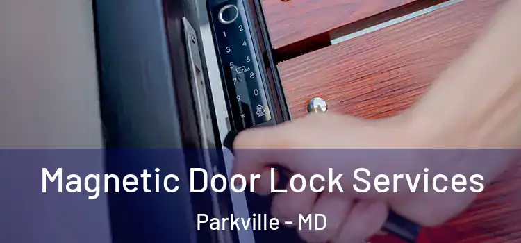 Magnetic Door Lock Services Parkville - MD