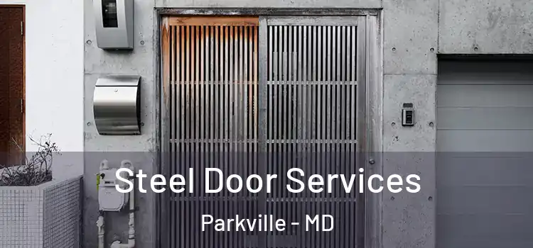 Steel Door Services Parkville - MD